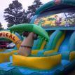Dry Package 20ft Double Dip Dry and a Palm Tree Bounce House Dry Package 20ft Double Dip Dry and a Palm Tree Bounce House