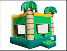 a Palm Tree a Palm Tree
