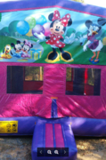 Minnie Pink & Purple Panel Jump Minnie Pink & Purple Panel Jump