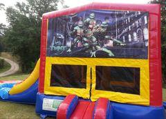 z Ninja Turtle Panel Combo z Ninja Turtle Panel Combo