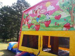z Strawberry Shortcake Panel Combo z Strawberry Shortcake Panel Combo